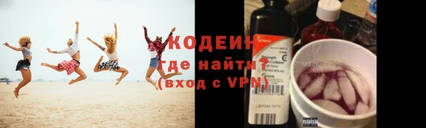 амф Вяземский