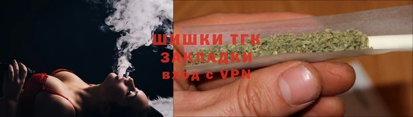 амф Вяземский