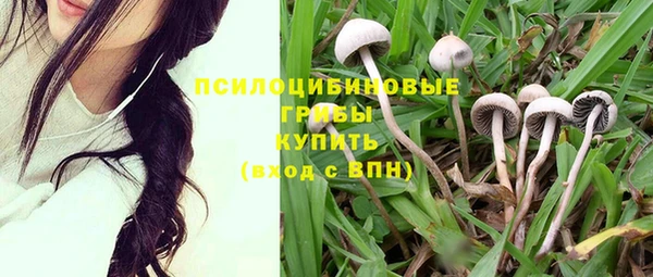 а пвп мука Вязники