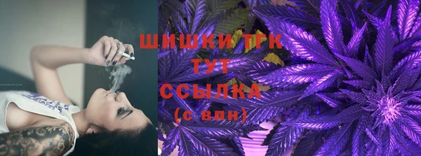 ECSTASY Снежногорск